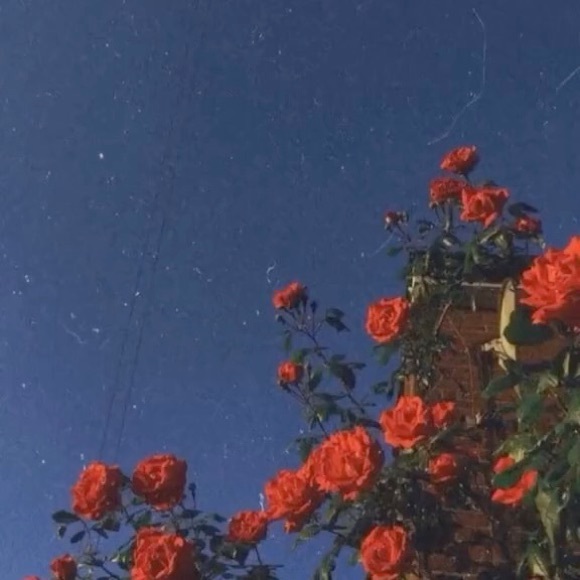 Make Me Offers! Meet your Posher, Nayeli D. - Picture 7 of 8